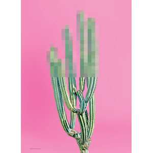 Strups Cactus Print Scandinavian Prints Posters By Strups Houzz Uk