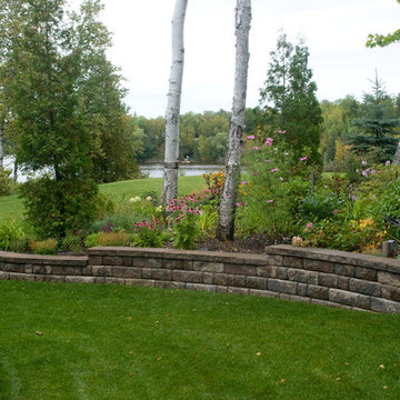 Native Planting Around Esiting Trees