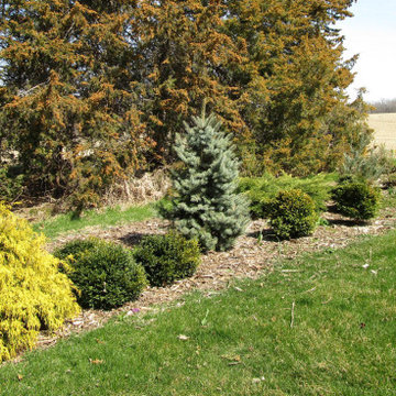 Beth's Garden 2020