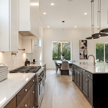 Radiant Modern with Craftsman Finishes