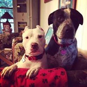 Layne Dicker's photo