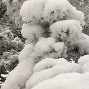 Greg Hampikian's photo