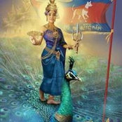 សុង ដាវីតs billede