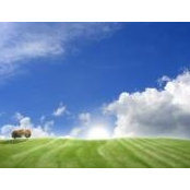 Erin Lawrence's photo