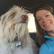 Lynn Brown's photo