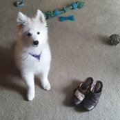 Gretchen Weaver's photo