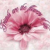 Kay Palmer's photo