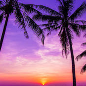 Thierry Malley's photo