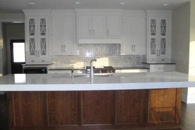 Inspiration for a kitchen remodel in Chicago