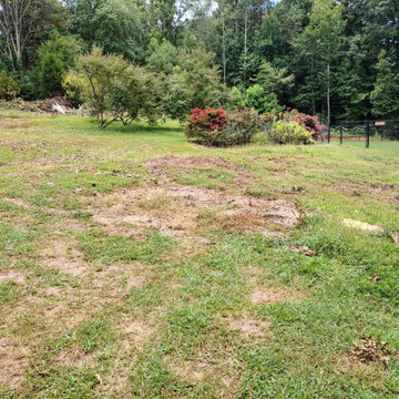 Carrollton Ga