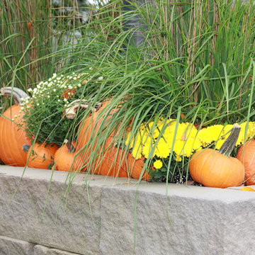 Fall Decorations