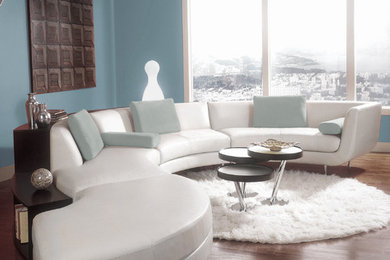 Living room - contemporary living room idea in Phoenix