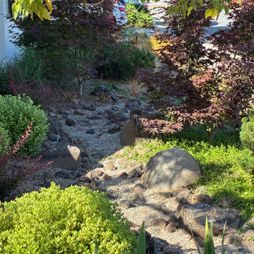 Penninsula Lawn Conversion to Modern Japanese