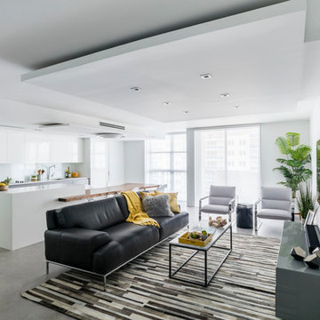 Modern concrete looks - living room floors