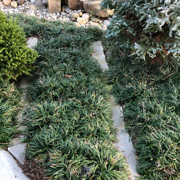 Asian-Inspired Courtyard Garden, After Photo.