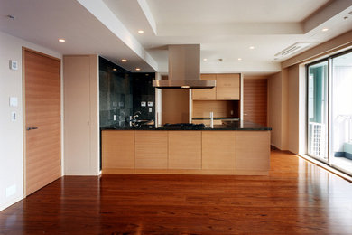 Kitchen - modern kitchen idea in Tokyo