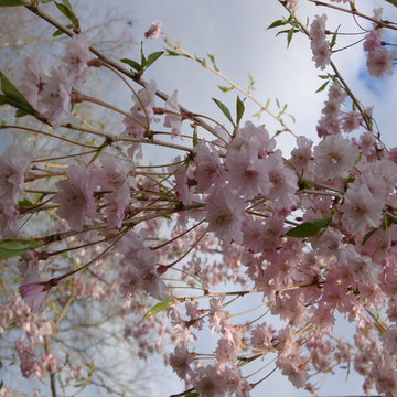 Calais Flower Landscape Design & Management Westhampton