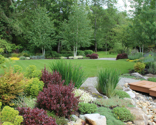 Barberry Shrub | Houzz