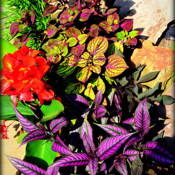Landscaping Highlights