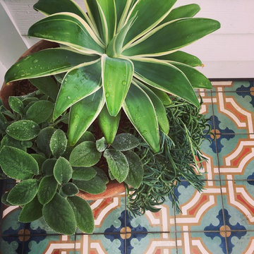 Balcony: Pottery and Foodscaping