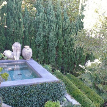 Belvedere Wiseman