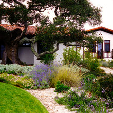Exterior Ideas
