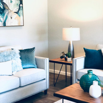 Living Room Photos
