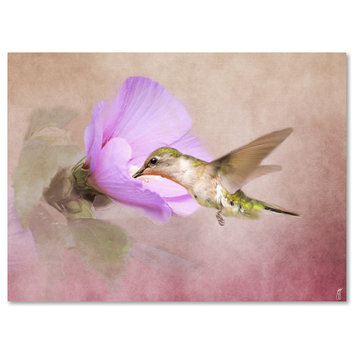 Jai Johnson 'A Taste of Nectar Hummingbird' Canvas Art, 32 x 24