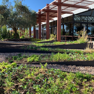 Skysong Culinary Gardens By Agriscaping