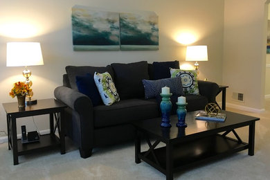 Living room - contemporary living room idea in Baltimore