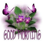 Nancy Scott's photo