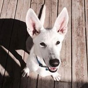 Kimberly Lyon's photo