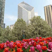 Stacy Bogart's photo