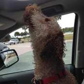 Buffy Lowenhar's photo