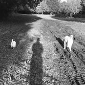 Mick Knight's photo
