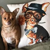 Cathy Rossi's photo