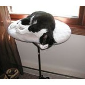 Deb Van Straten's photo