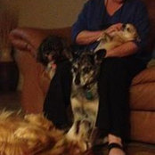 Dona Stephens's photo