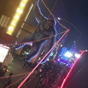 Foto von Allysa Trimble