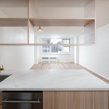 Greenwich Village Co-Op Apartment Renovation