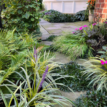 Lush Urban Garden (Chicago, IL)