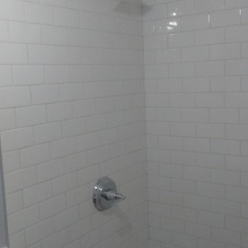 Brookland, DC Basement Remodel