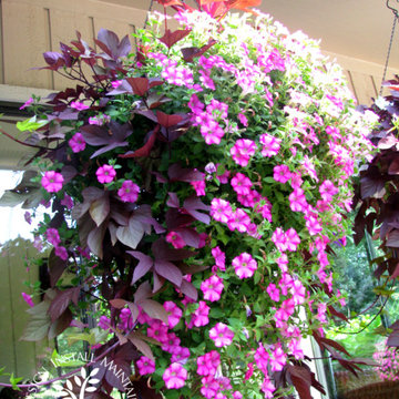 Flower Planters