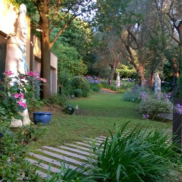 il giardino degli agapanthus