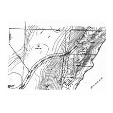 BNG Lot/Topographical Survey