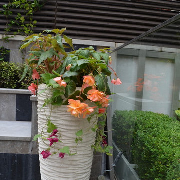 Belgravia Residence
