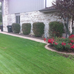 Bushes and Shrubs - Products