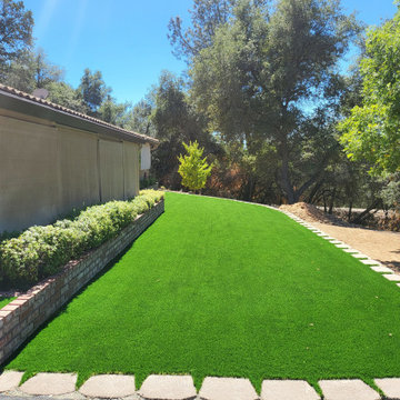 Arizona Platinum Olive