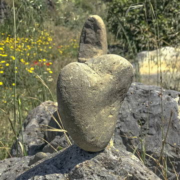 La casa del cuore
