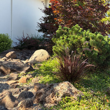 Penninsula Lawn Conversion to Modern Japanese